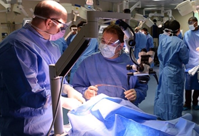 Oral Surgery - Cadaver Course – Module 4